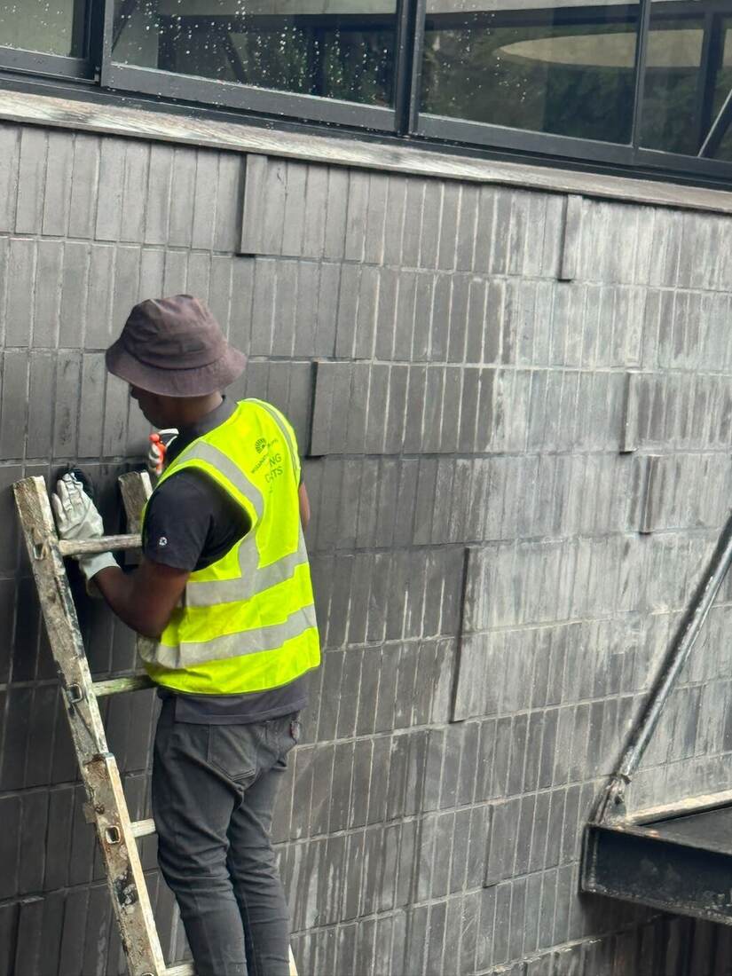 Wozanathi Group technician cleaning dark tile cladding on a ladder